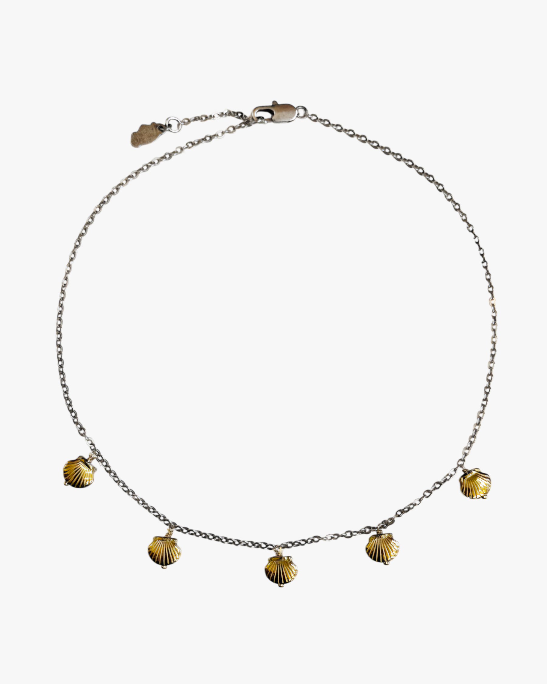 COLLIER COQUI