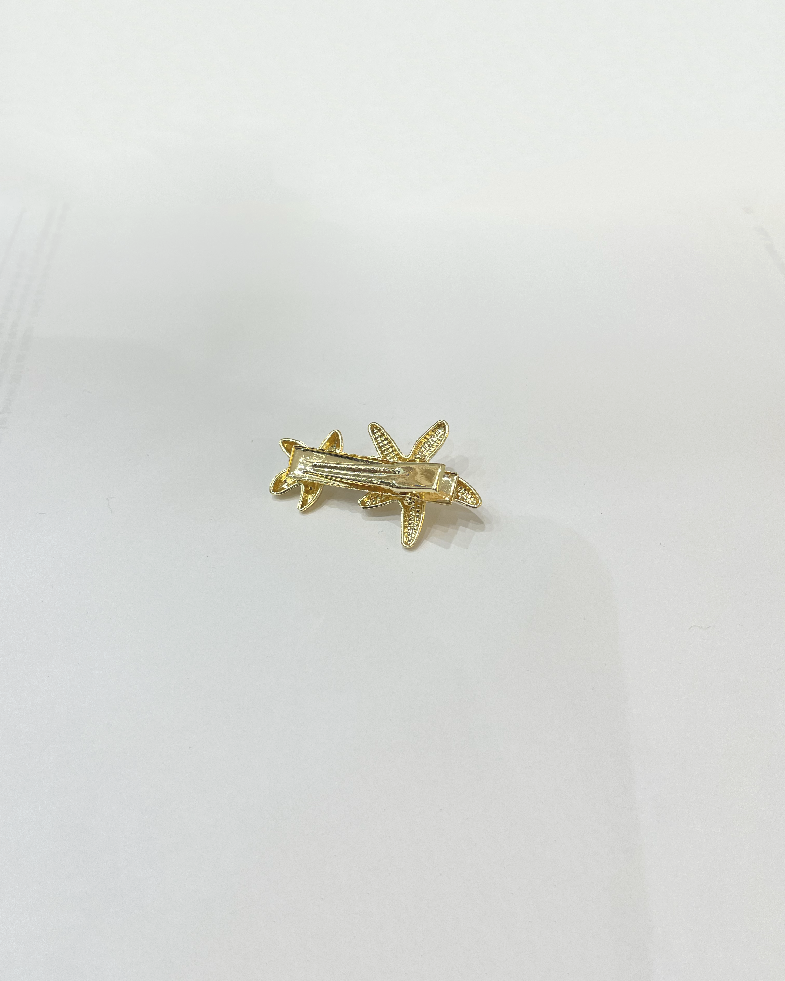 BARRETTE CORALIA
